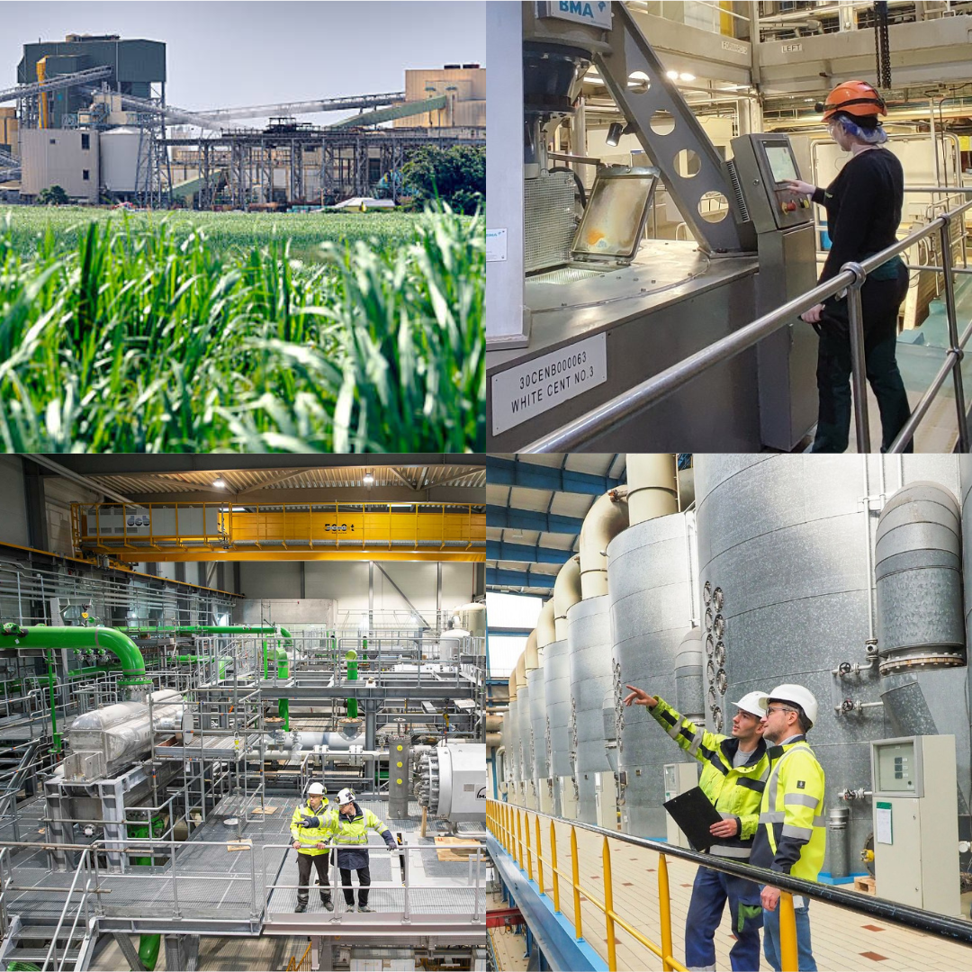 Sugar Factory Automation